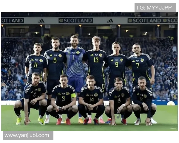 瑞士与瑞典足球明星汇总及其成就分析与对比